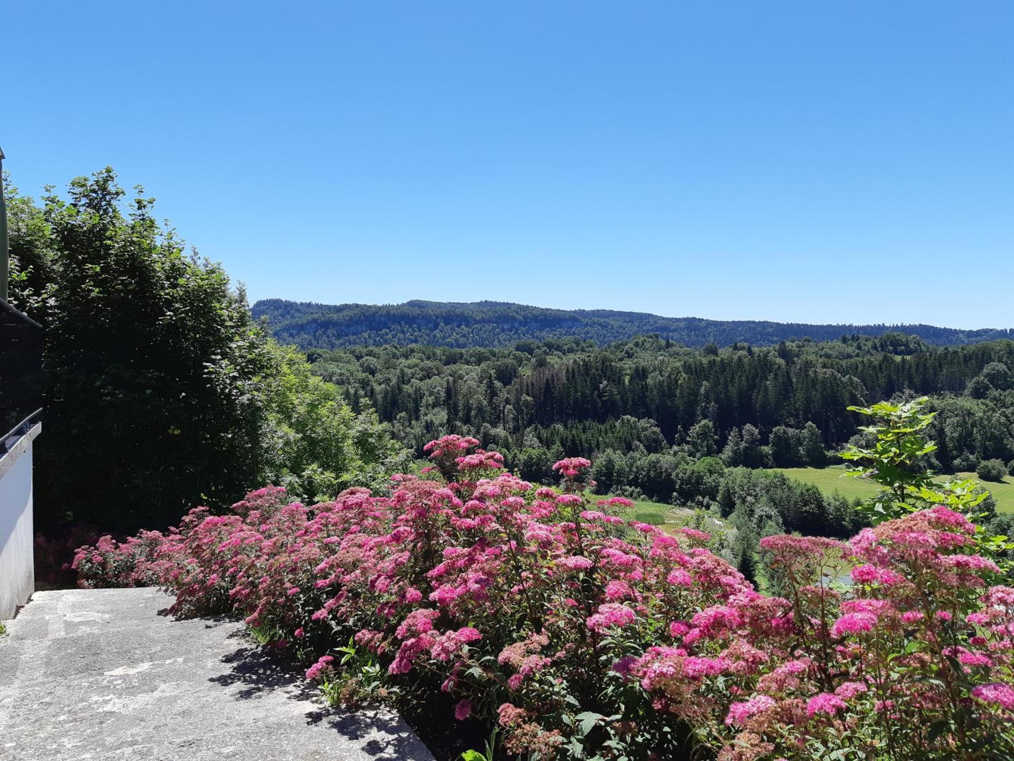 Отель Les Alpages Bonlieu Экстерьер фото