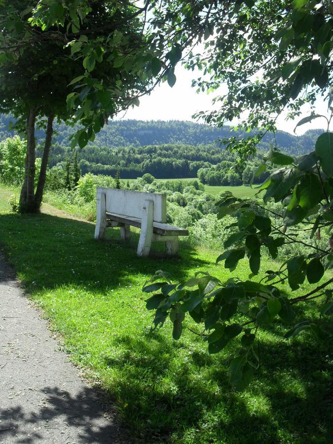 Отель Les Alpages Bonlieu Экстерьер фото